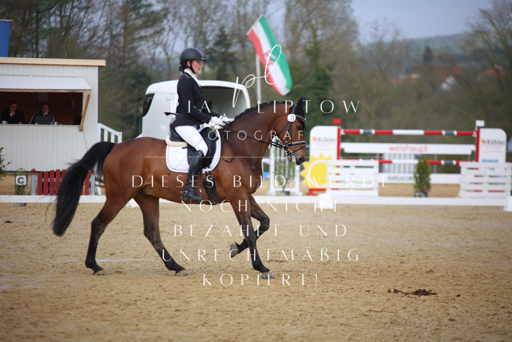 IMGT8217 | pl-fotografie