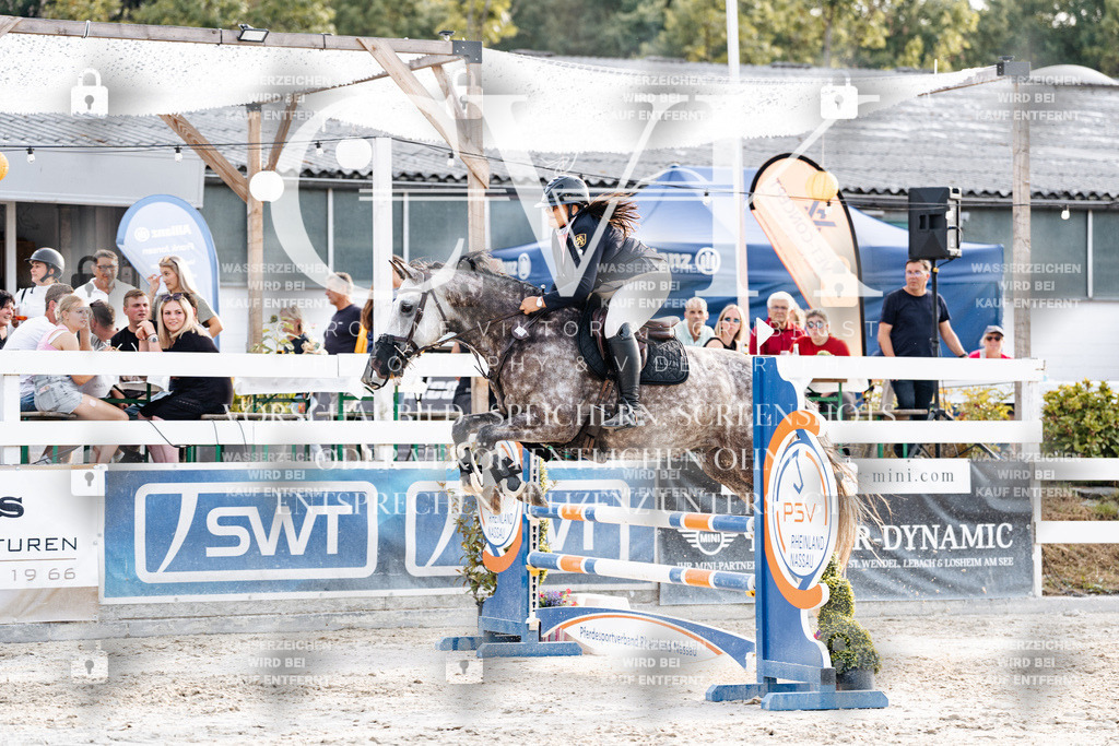 CK907022 | Turnierfotografie Pferdefotografie Trier Rheinland-Pfalz Pferdesport Reitsport Tierfotografie Sportfotografie Pferdevideo Pferdevideografie Equestrianvideography equestrianphotography  - Realisiert mit Pictrs.com
