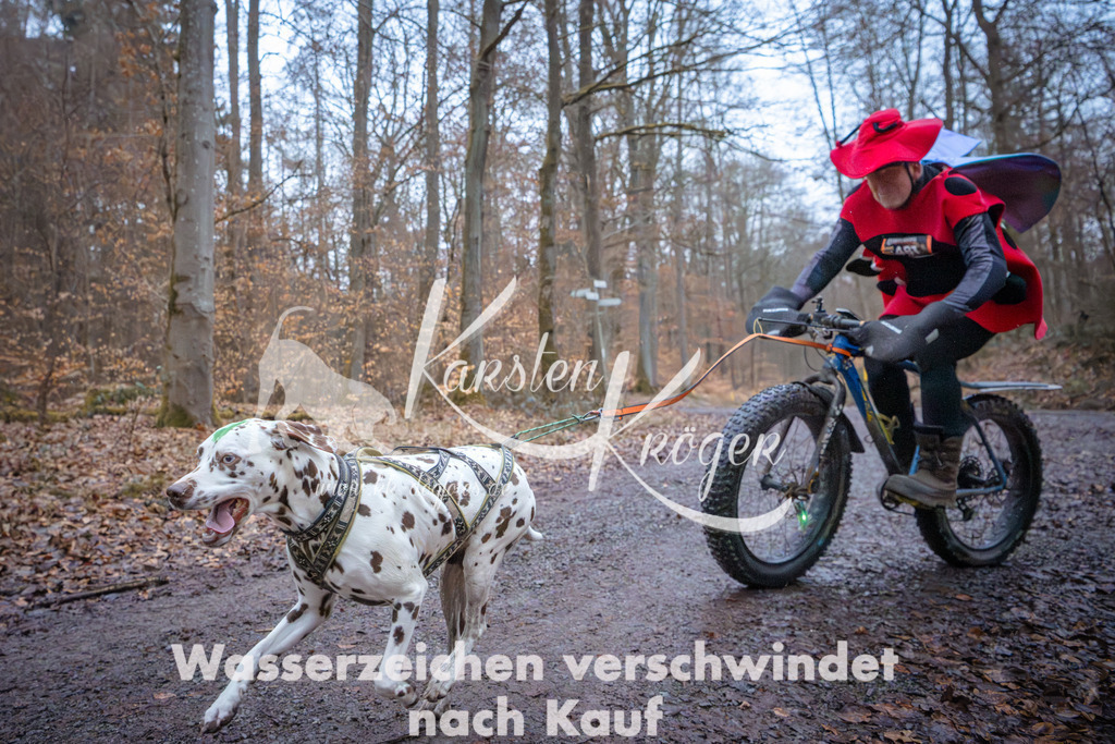 0826_ZZ94573 | kk-dogfotos
