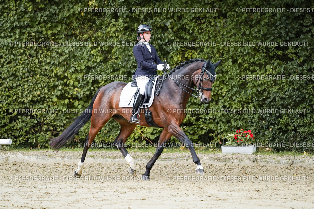 DSC06443 | Pferdegrafie