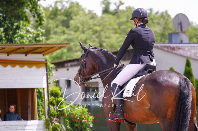 DKP41019 | Turnierfotos kaufen im Webshop von Daniel Kuhl Photography – entdecke professionelle Reitsportfotos aus Turnieren & Events. Hochwertige Turnierbilder online bestellen & sichern. Jetzt Fotos von Reitsportturnieren kaufen!