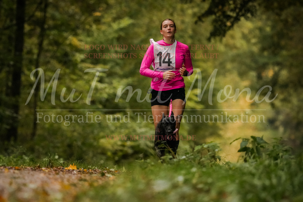 20251005_THS_Turnier-130 | MuT (Mensch und Tier) mit Mona - Fotografie und Tierkommunikation - Realisiert mit Pictrs.com