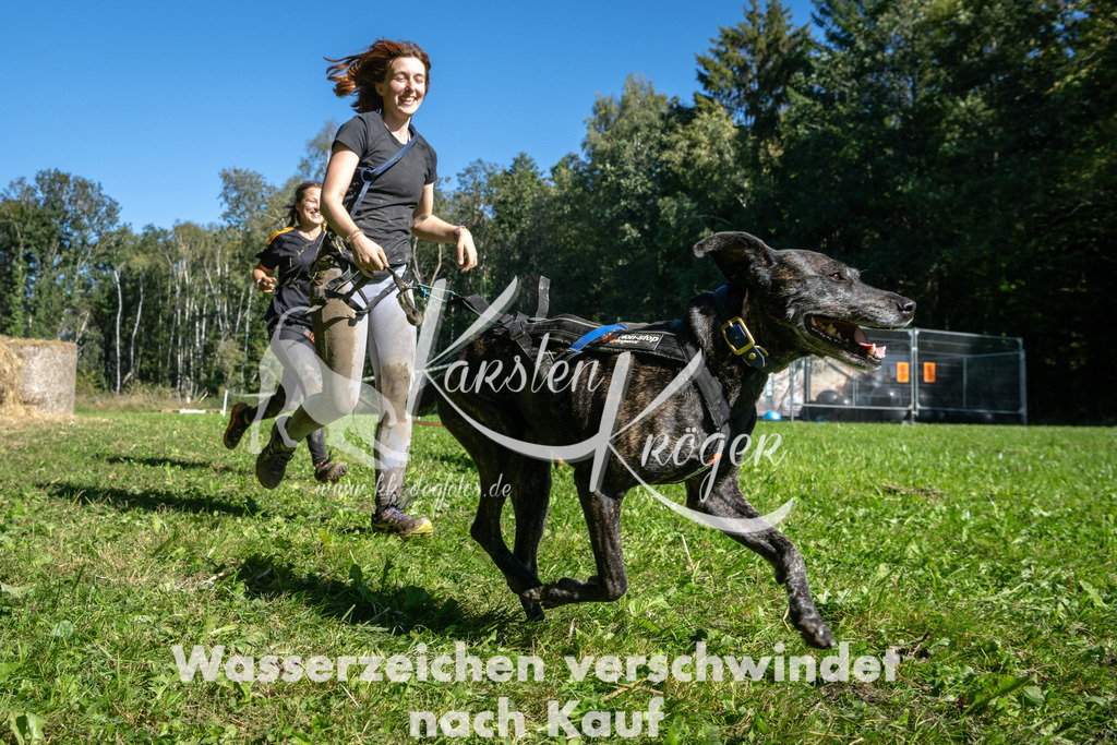 1249_ZZ92506-2 | kk-dogfotos