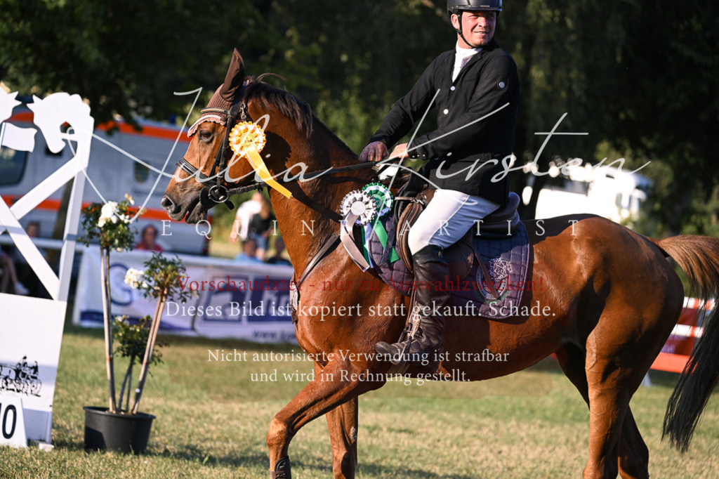 DSC_1917 | Pferde- und Turnierfotografie in Westsachsen. Pferdeportraits, Auftragszeichnungen und intuitive Kunst.