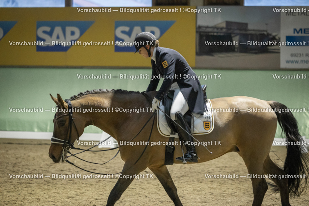 _D5A7213 | Emotionale Pferde- & People-Fotografie rund um Heidelberg, Leimen & Umgebung. Natürliche Fotos von Pferd, Mensch & Familie. Jetzt Termin sichern!