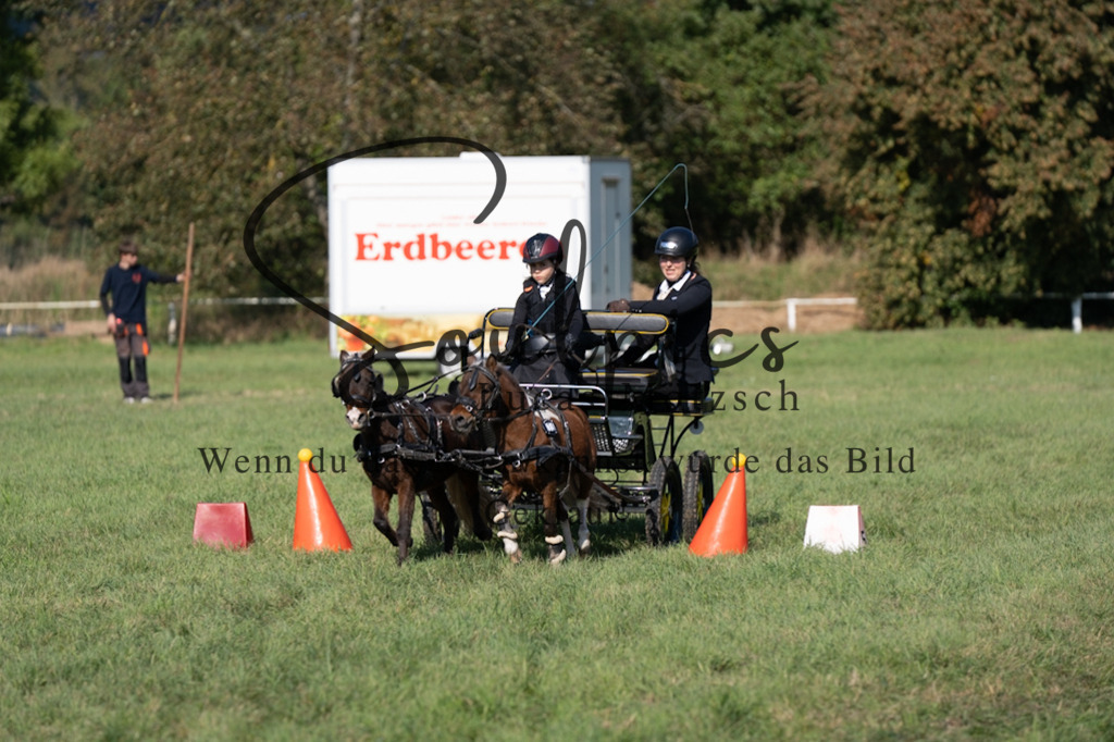 A7V04381 | Pferdefotograf