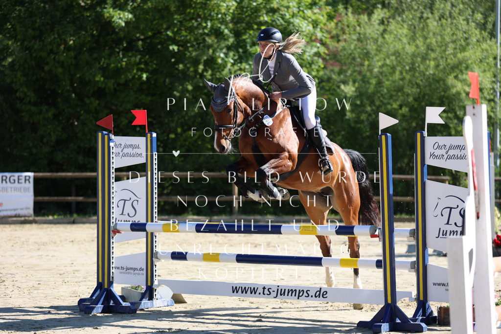 IMGS6206 | pl-fotografie