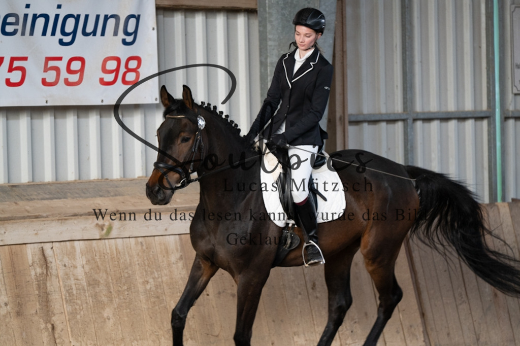 A7V05034 | Pferdefotograf