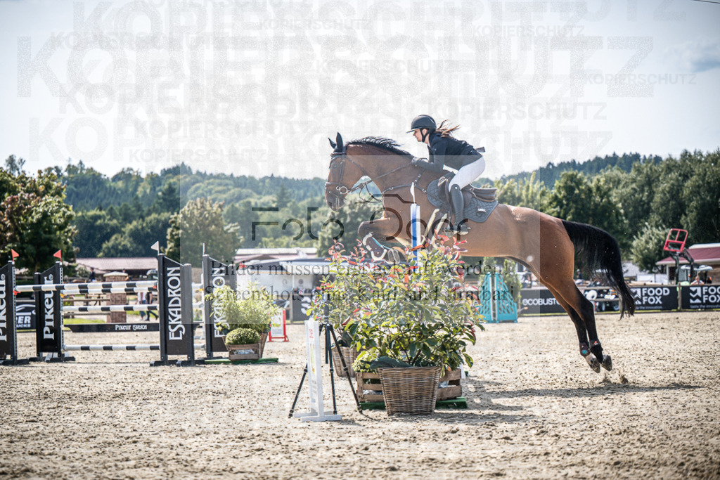 DOS_7853 | Entdecke hochwertige Reitturnierfotos von Foto Oger. Professionell, emotional und authentisch – jetzt Lieblingsmomente im Shop bestellen.Deutschlandweite Turnierfotografie. - Realisiert mit Pictrs.com
