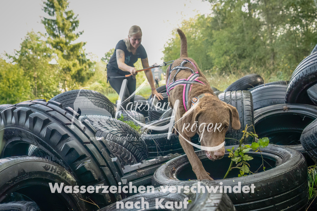 1057_ZZ90928-Bearbeitet | kk-dogfotos