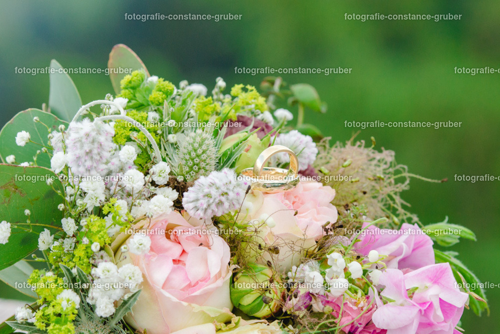 1012 | Fotografie Constance Gruber - Realisiert mit Pictrs.com