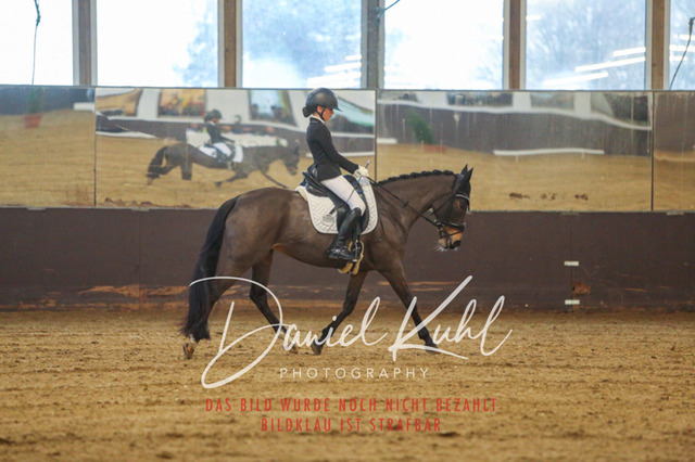 IMG_8236 | Turniersportfotografie; Pferdefotografie; Dressurfotografie
