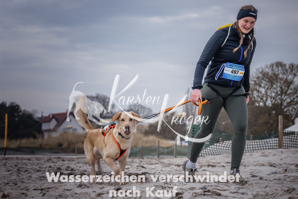 1149_ZZ90872 | kk-dogfotos