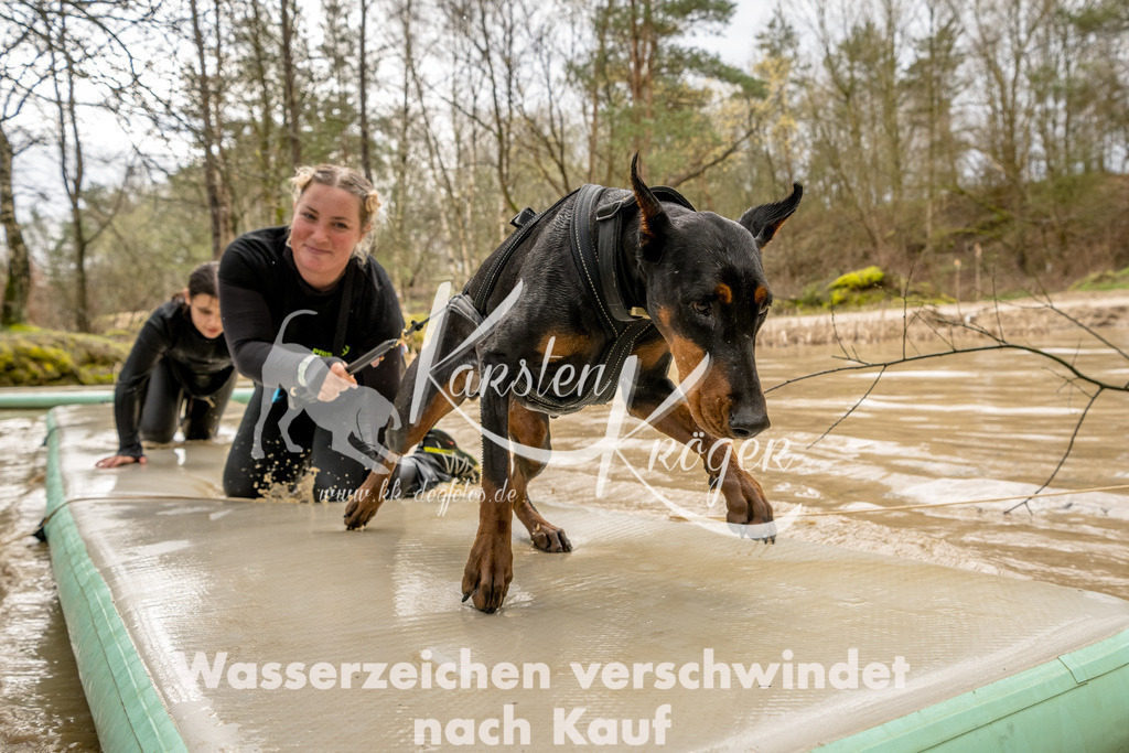 1322_ZZ90319-Bearbeitet | kk-dogfotos