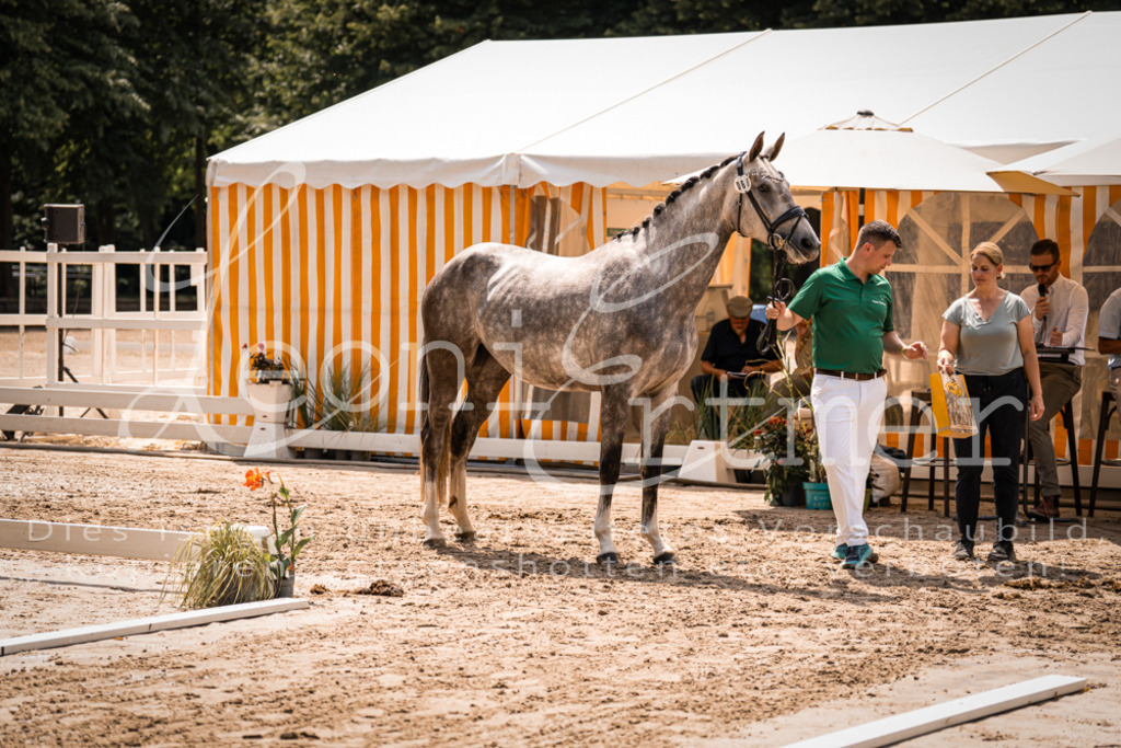 1.Fr00175 | Leoni Ertmer Photography - Realisiert mit Pictrs.com