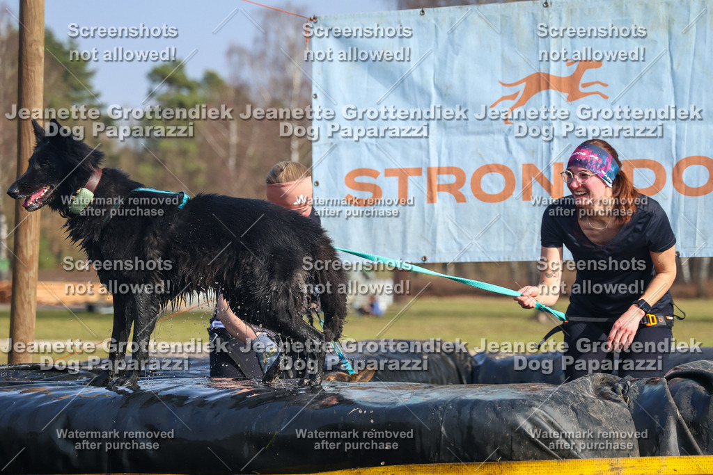 Dog Paparazzi - Strongdog North Mrz26-2795 | Dog Paparazzi Jeanette Grottendiek Fotografie & Videografie - Realisiert mit Pictrs.com