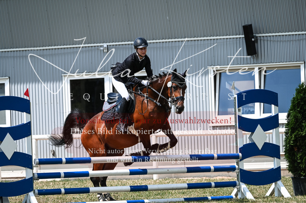 DSC_9436 | Pferde- und Turnierfotografie in Westsachsen. Pferdeportraits, Auftragszeichnungen und intuitive Kunst.