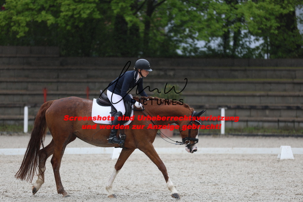 A40A7839 | lmwpictures - Realisiert mit Pictrs.com