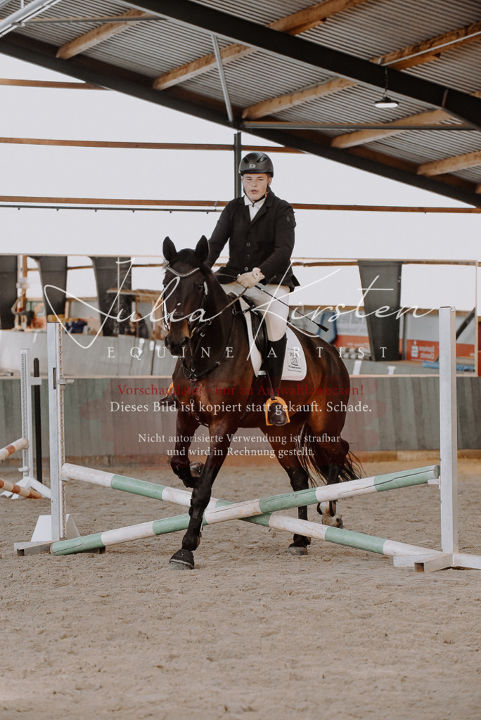 DSC_7434 | Pferde- und Turnierfotografie in Westsachsen. Pferdeportraits, Auftragszeichnungen und intuitive Kunst.