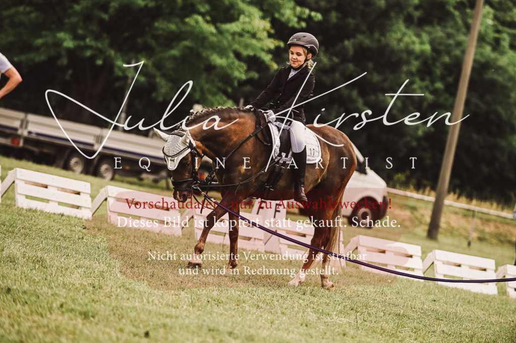 DSC_5216 | Pferde- und Turnierfotografie in Westsachsen. Pferdeportraits, Auftragszeichnungen und intuitive Kunst.