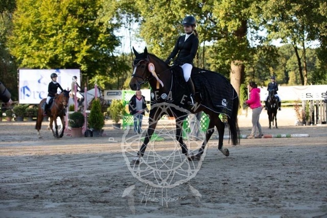 2B4A4011 | pixelfaenger - Realisiert mit Pictrs.com