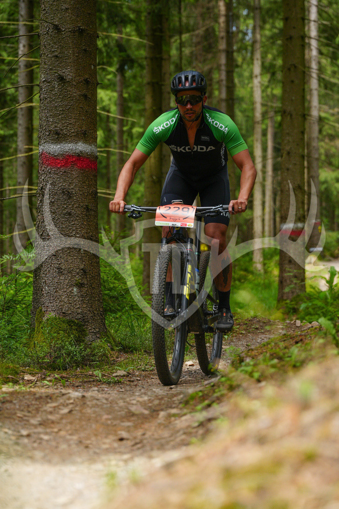 FC603741 | Fotogalerie der Treibjagd im Dunkelwald - Dein MTB Etappenrennen im Erzgebirge - Realisiert mit Pictrs.com