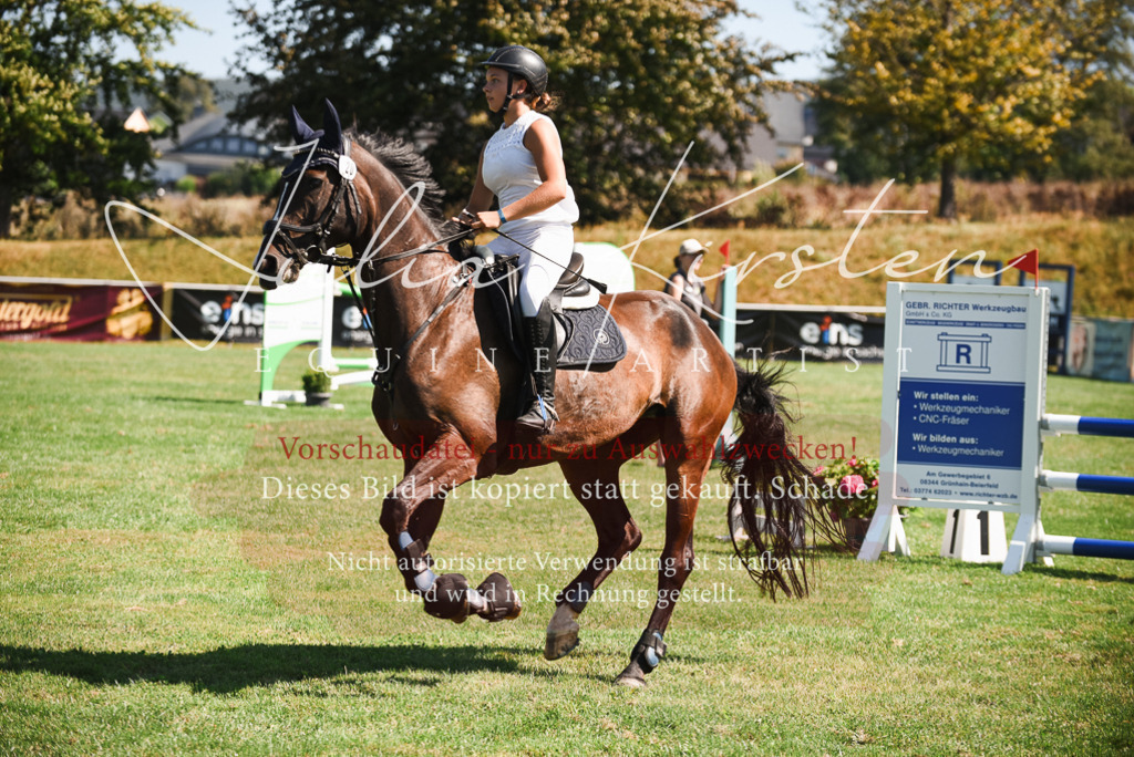 DSC_2857 | Pferde- und Turnierfotografie in Westsachsen. Pferdeportraits, Auftragszeichnungen und intuitive Kunst.