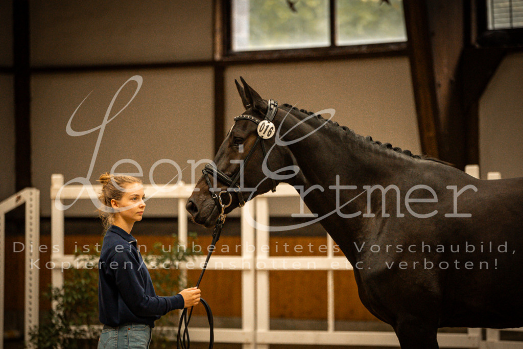 2FS_L00065 | Leoni Ertmer Photography - Realisiert mit Pictrs.com