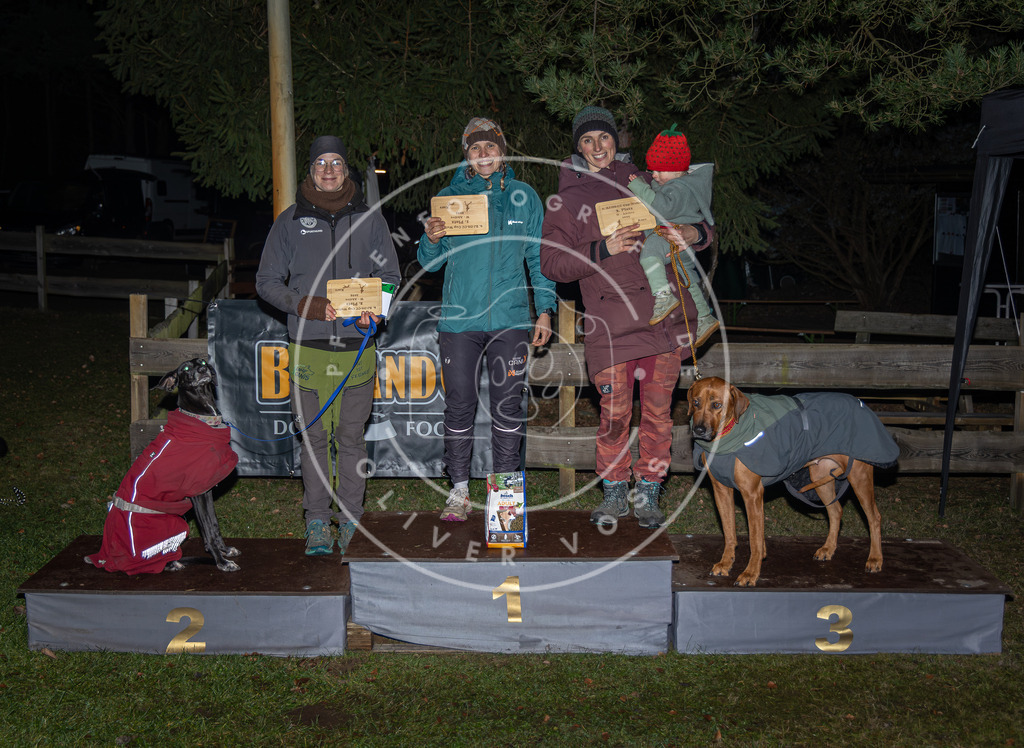 Pfotenfotografie_0L8A1950 | Hundefotografie, Tierfotograf, Pfotenfotografie, Fotoshooting Hund, Hunde Portrait, Hundesport, Hundeportraits, Heideshooting, Hunde, Sportfotograf, Hundefotograf, Turnierhundsport, THS,  - Realisiert mit Pictrs.com