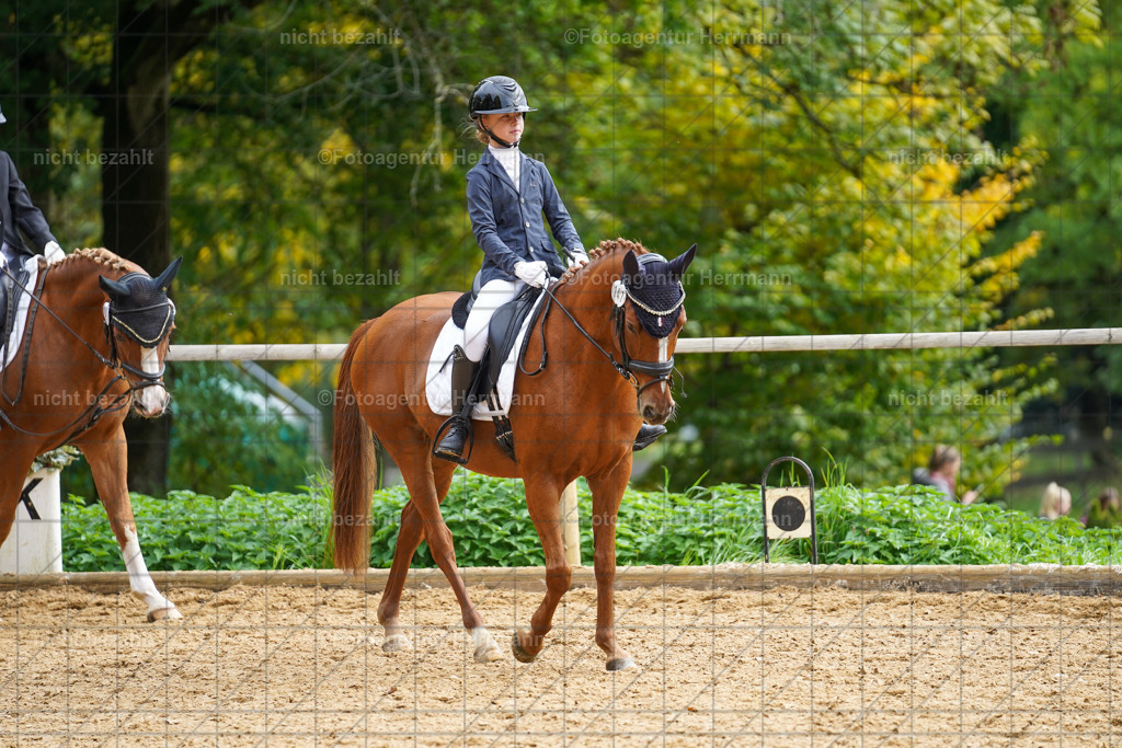 20221008-FAH01313 | Diessen am Ammersee, 2022, Dressur- und Springturnier, Reitsportbilder, Turnierfotografen Bayern, Pferdefotografen, Fotoagentur Herrmann, Turnierbilder