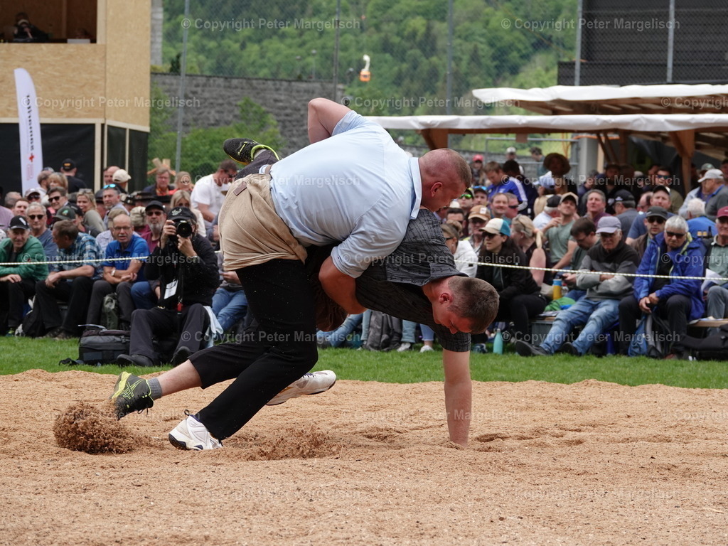 DSC07138 | Schwingen - Realisiert mit Pictrs.com