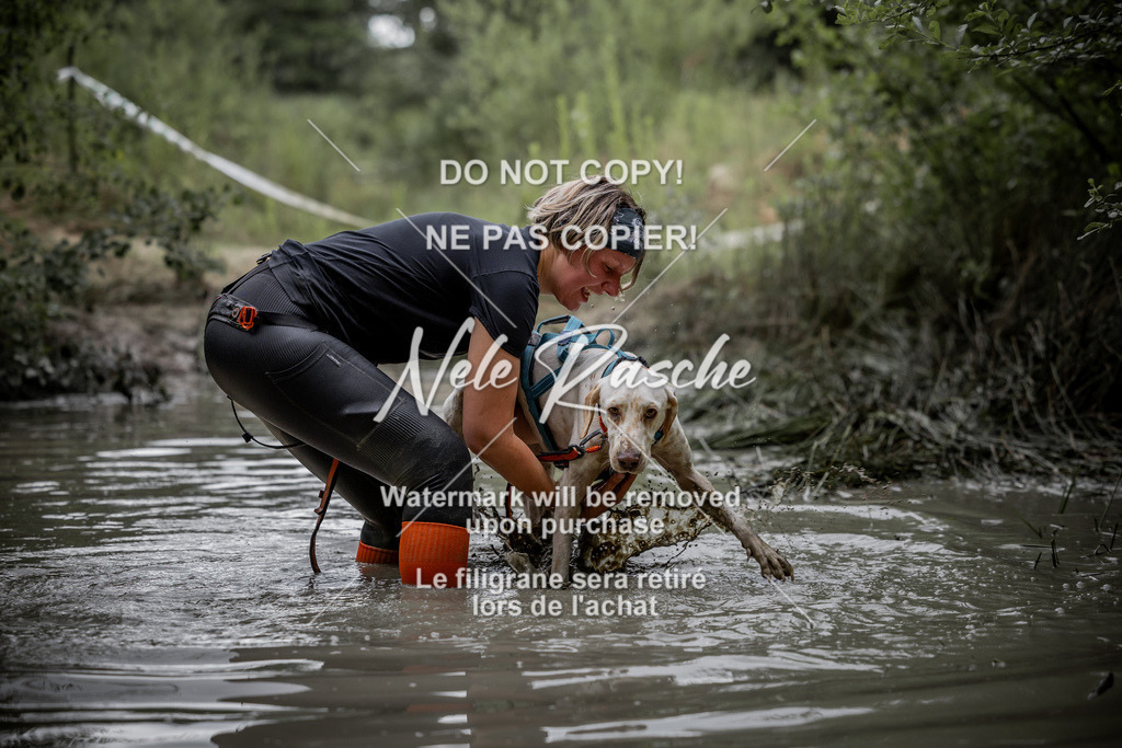 nelerasche_so0800-0930_490 | nelerasche