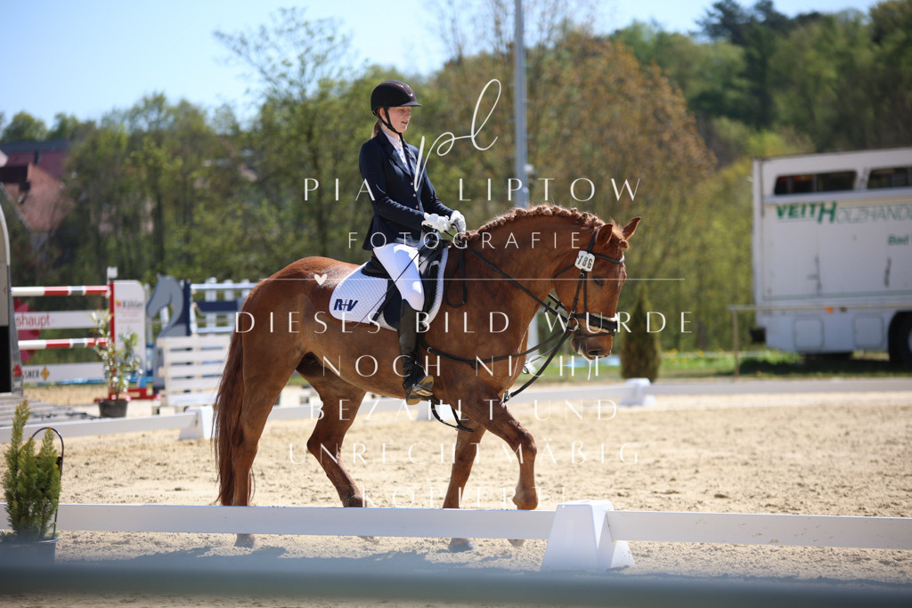 IMGT0335 | pl-fotografie