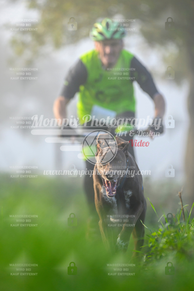 MompixPhotography_20TSB_E3_Bike-102 | PayLife