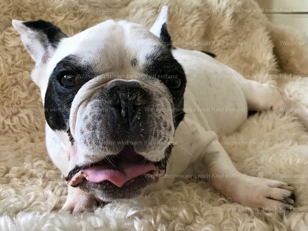 IMG_1366 | heikomoeller - Realisiert mit Pictrs.com