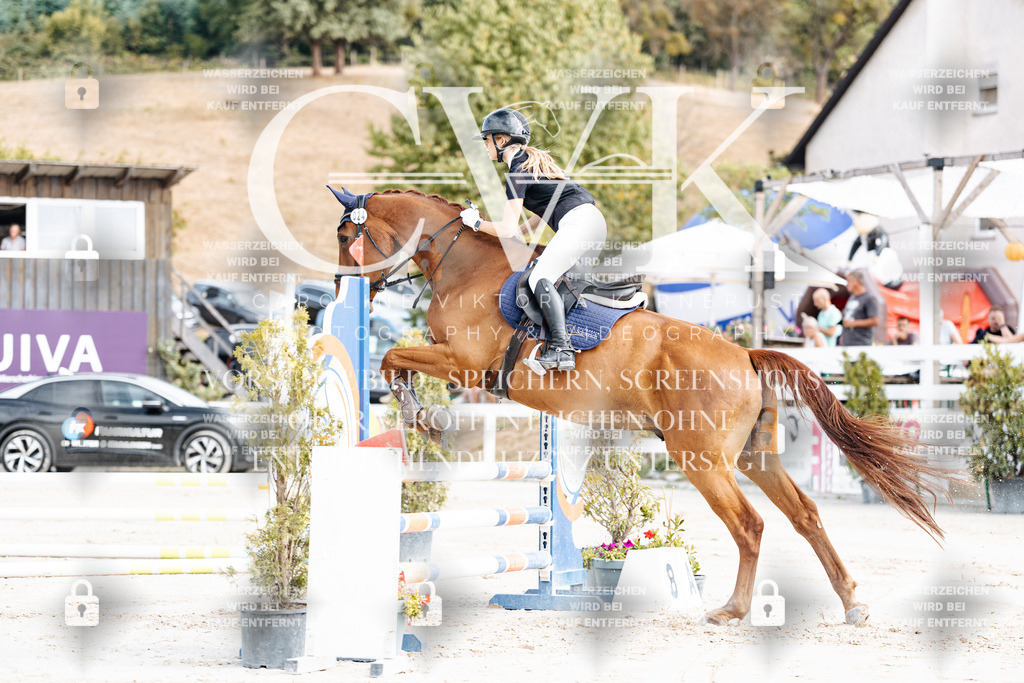 CK909003 | Turnierfotografie Pferdefotografie Trier Rheinland-Pfalz Pferdesport Reitsport Tierfotografie Sportfotografie Pferdevideo Pferdevideografie Equestrianvideography equestrianphotography  - Realisiert mit Pictrs.com