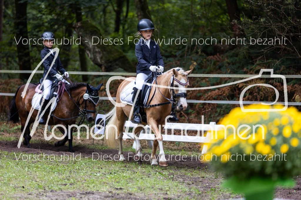 HB-Reiter-WB-059 | MomenTaufnahmen Pferdesportfotos