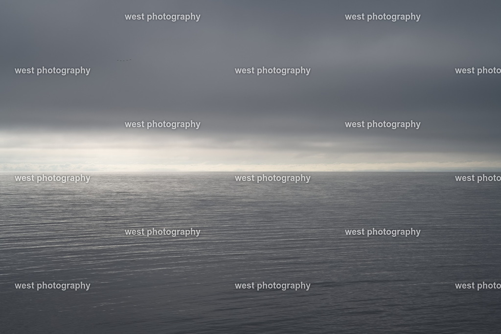 Point Prim - CAN 2022 | west photography - Realisiert mit Pictrs.com