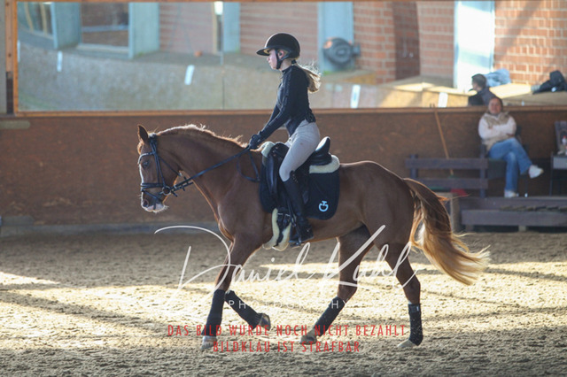 DKP42176 | Turniersportfotografie; Pferdefotografie; Dressurfotografie