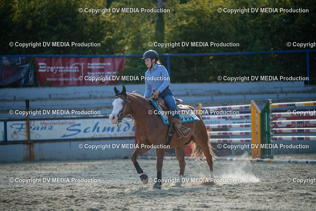 EWP_7119 | dv-media-shop - Realisiert mit Pictrs.com