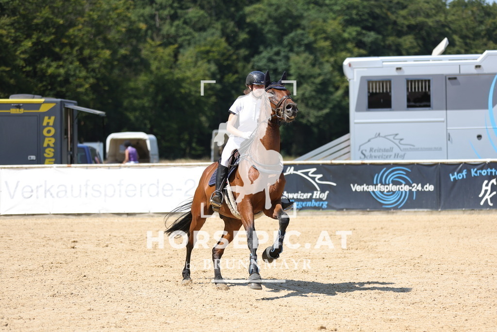 0P6A6416 | Willkommen bei Brunnmayr - Design & Fotografie – Ihrem Spezialisten für Reitturniere und Pferdeveranstaltungen in Oberösterreich, Salzburg und Bayern! Seit über 17 Jahren sind wir leidenschaftlich dabei.