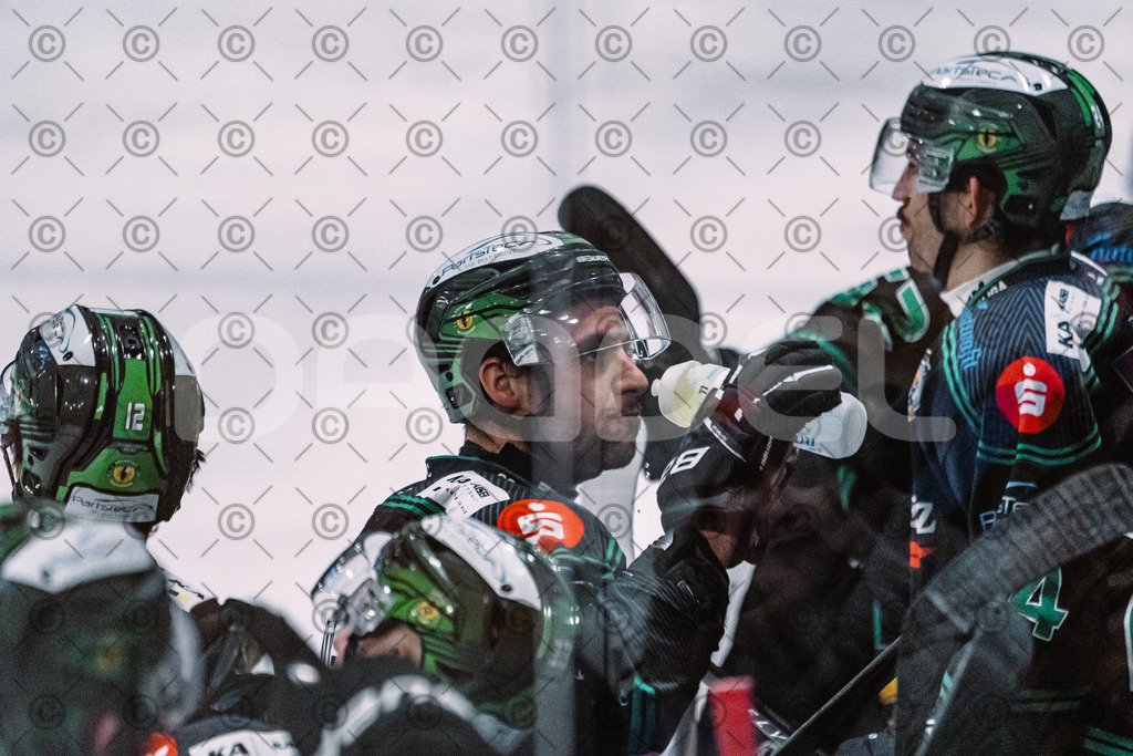 Alligators_vs_Peiting_04_01_2026-103 | Höchstadt Alligators Fotogalerie: Eishockey-Action aus Franken. Professionelle Spielfotos, Portraits & Stadionbilder zum Download. Jetzt entdecken! - Realisiert mit Pictrs.com