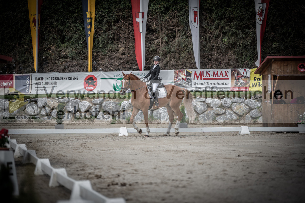 DSC_2719 | equestrian-live-com