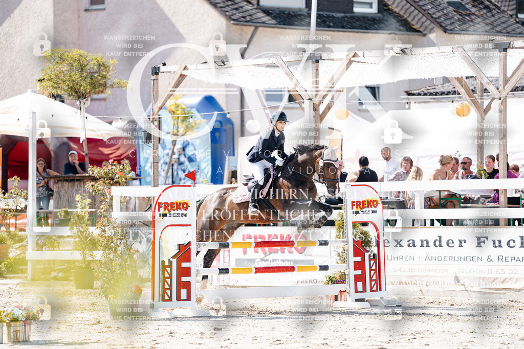 CK908149 | Turnierfotografie Pferdefotografie Trier Rheinland-Pfalz Pferdesport Reitsport Tierfotografie Sportfotografie Pferdevideo Pferdevideografie Equestrianvideography equestrianphotography  - Realisiert mit Pictrs.com