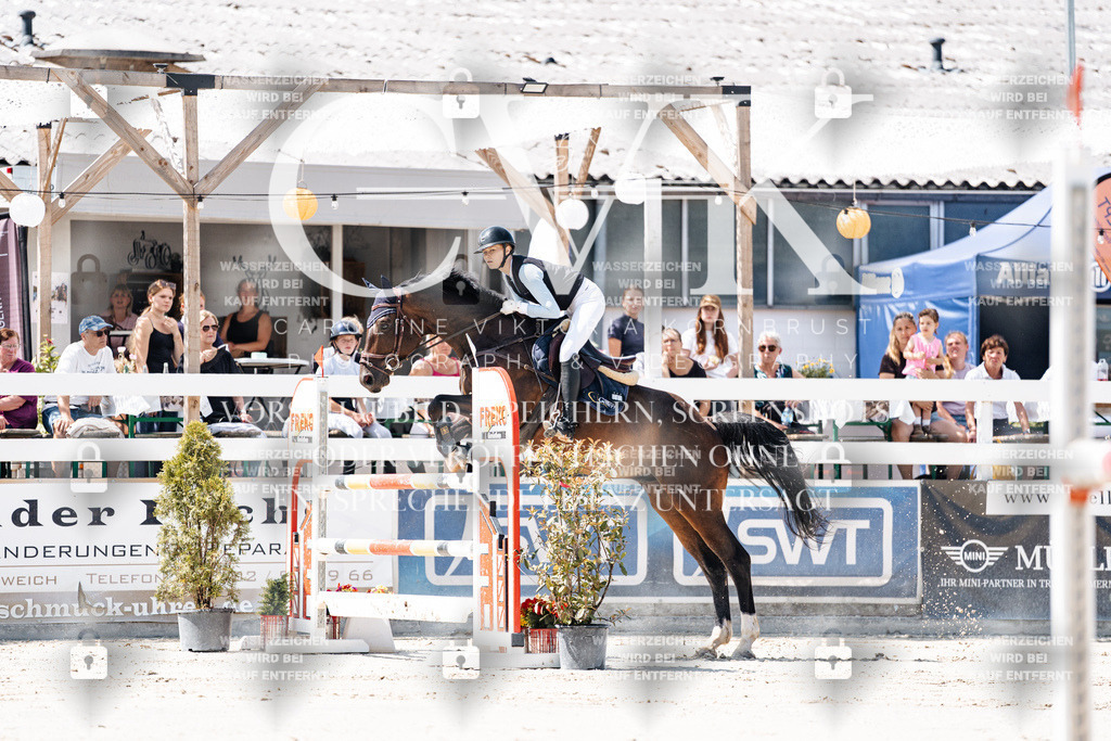 CK909454 | Turnierfotografie Pferdefotografie Trier Rheinland-Pfalz Pferdesport Reitsport Tierfotografie Sportfotografie Pferdevideo Pferdevideografie Equestrianvideography equestrianphotography  - Realisiert mit Pictrs.com