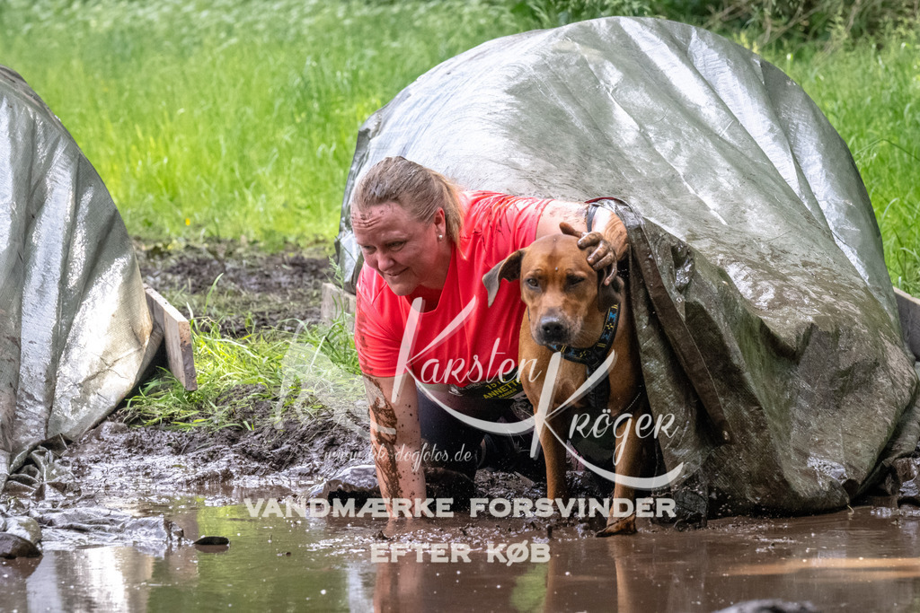 1252_ZZ94007 | kk-dogfotos