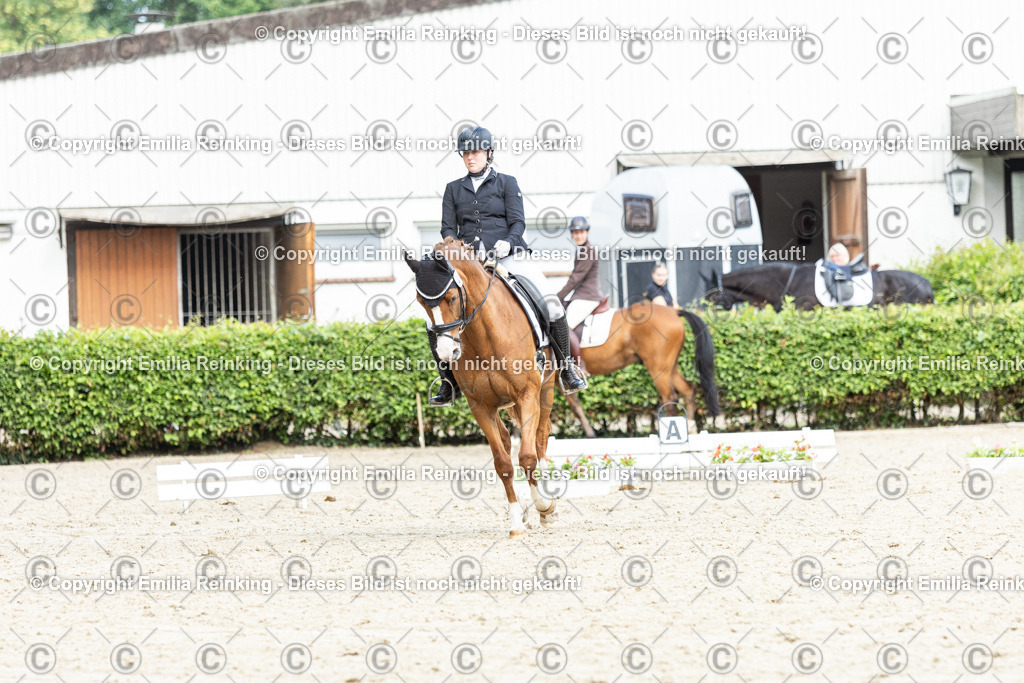 CL5A6670-2 | Emilia Reinking Fotografie - Realisiert mit Pictrs.com