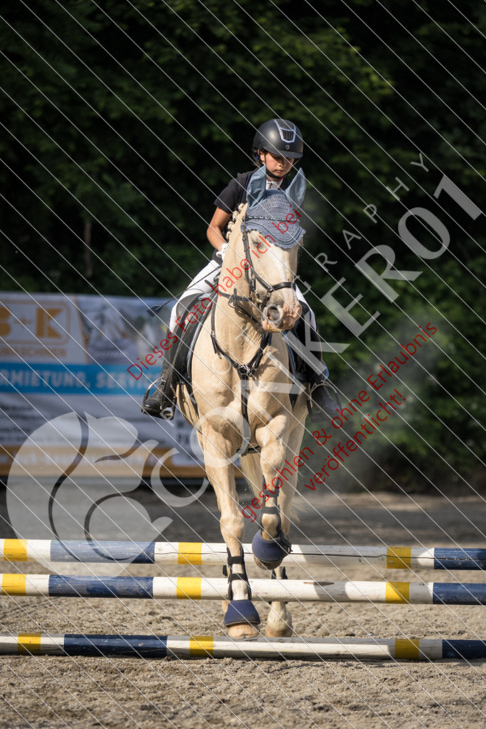 IMG_5927 | Sport-, Event- und Tierfotos in Profiqualität. Einfach auswählen, bestellen und herunterladen. Dein Moment – perfekt festgehalten.