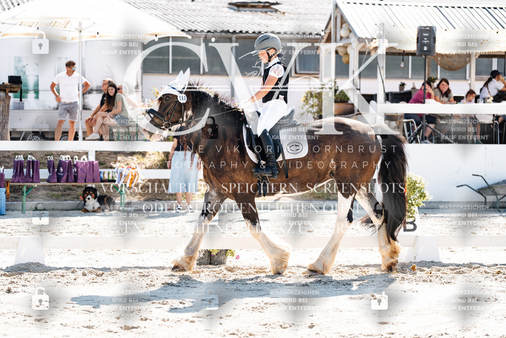 CK903027 | Turnierfotografie Pferdefotografie Trier Rheinland-Pfalz Pferdesport Reitsport Tierfotografie Sportfotografie Pferdevideo Pferdevideografie Equestrianvideography equestrianphotography  - Realisiert mit Pictrs.com