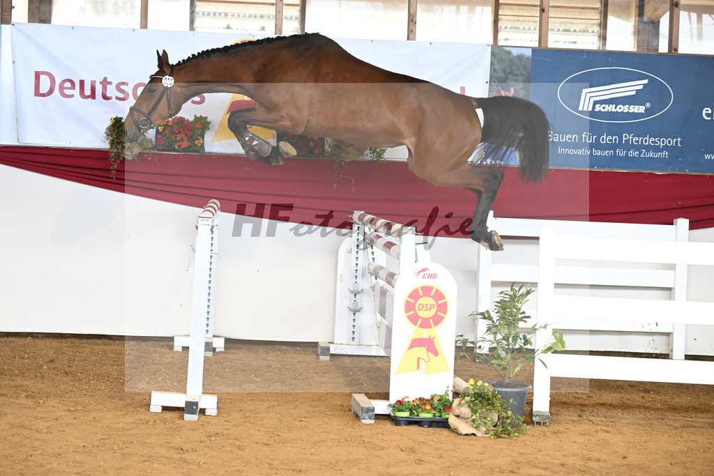 Kat-Nr. 15 Clara della Luna v. Chambretto GT_Egetenmeier_16250659 | hf-fotografie - Realisiert mit Pictrs.com